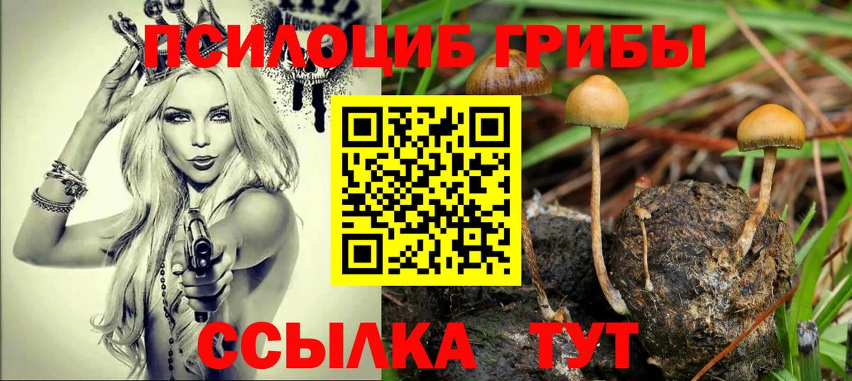 Галлюциногенные грибы прущие грибы Ахтубинск