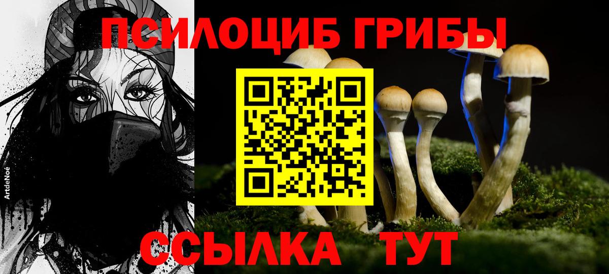 Псилоцибиновые грибы Psilocybe  Псилоцибиновые грибы мицелий  Ахтубинск  Вход с VPN 